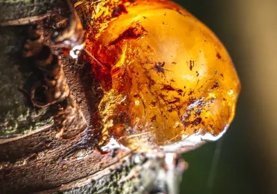 How strong is polyurethane resin