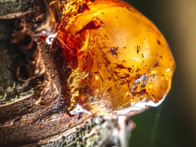 How strong is polyurethane resin