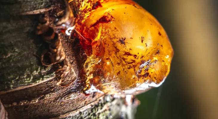 How strong is polyurethane resin